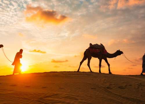 A group of tourists enjoying an Evening Desert Safari Dubai, riding over golden sand dunes