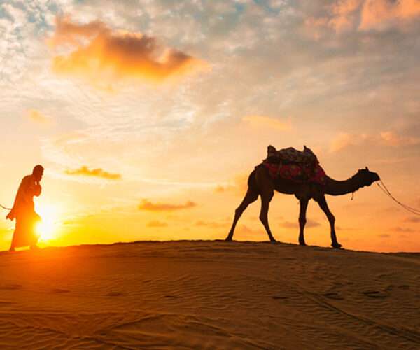 A group of tourists enjoying an Evening Desert Safari Dubai, riding over golden sand dunes