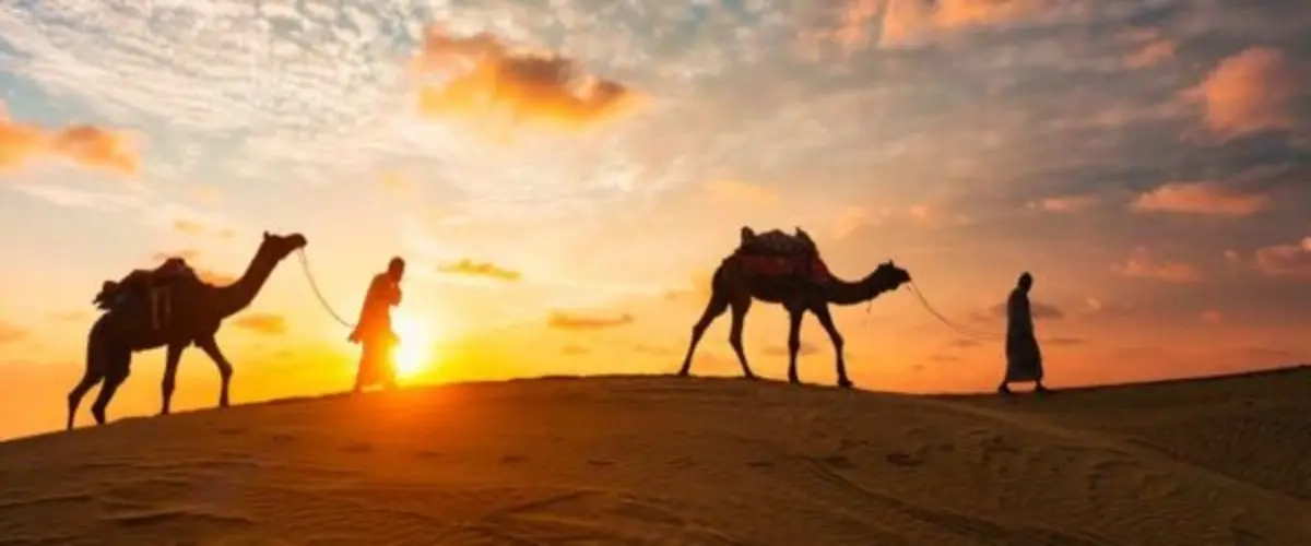 A group of tourists enjoying an Evening Desert Safari Dubai, riding over golden sand dunes