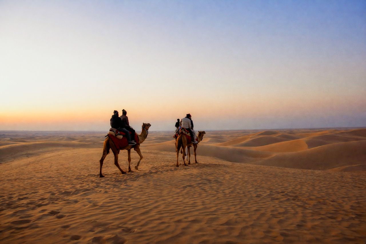 A breathtaking camel ride through the golden sand dunes of Jaisalmer at sunset.